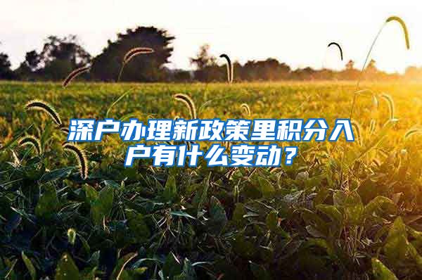 深户办理新政策里积分入户有什么变动？