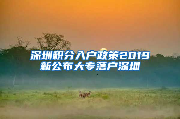 深圳积分入户政策2019新公布大专落户深圳