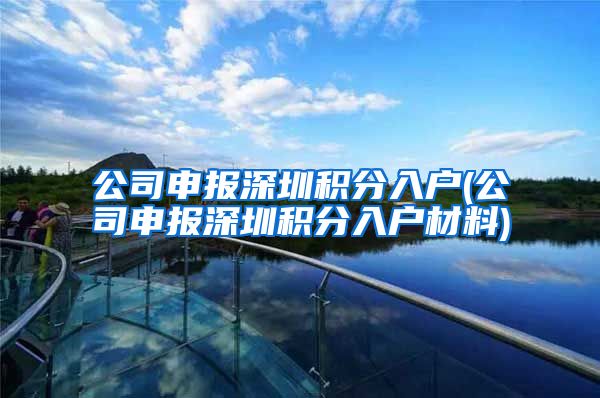 公司申报深圳积分入户(公司申报深圳积分入户材料)