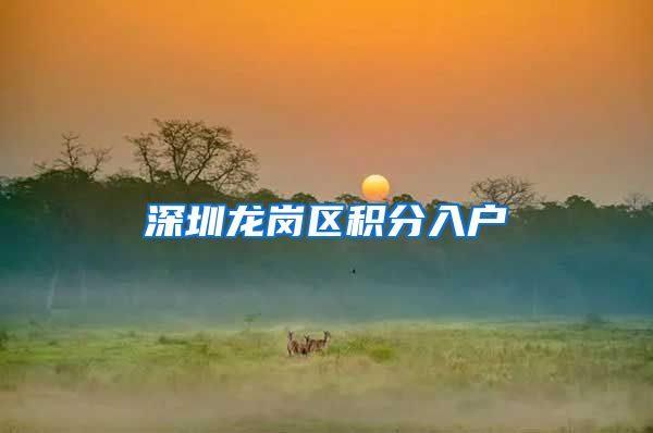 深圳龙岗区积分入户