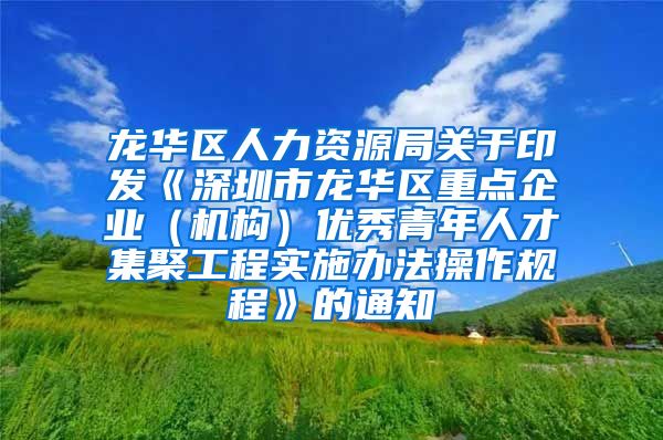 龙华区人力资源局关于印发《深圳市龙华区重点企业（机构）优秀青年人才集聚工程实施办法操作规程》的通知