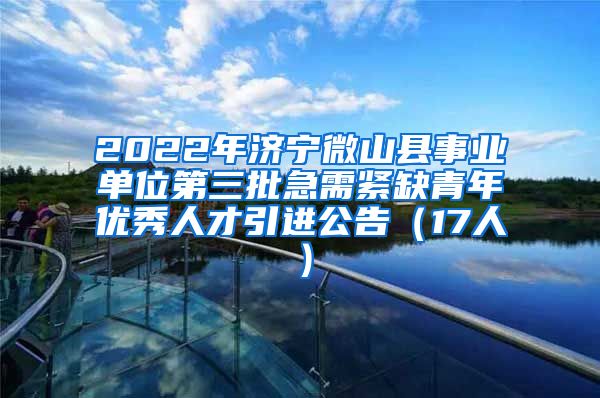 2022年济宁微山县事业单位第三批急需紧缺青年优秀人才引进公告（17人）
