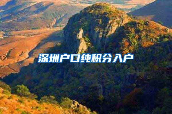 深圳户口纯积分入户