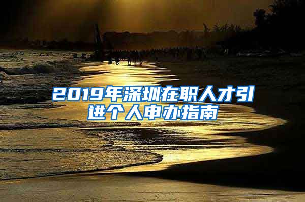 2019年深圳在职人才引进个人申办指南
