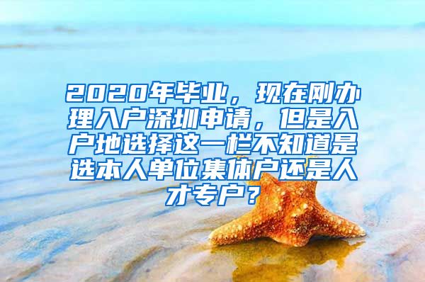 2020年毕业，现在刚办理入户深圳申请，但是入户地选择这一栏不知道是选本人单位集体户还是人才专户？