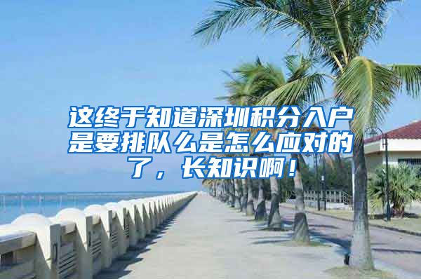 这终于知道深圳积分入户是要排队么是怎么应对的了，长知识啊！