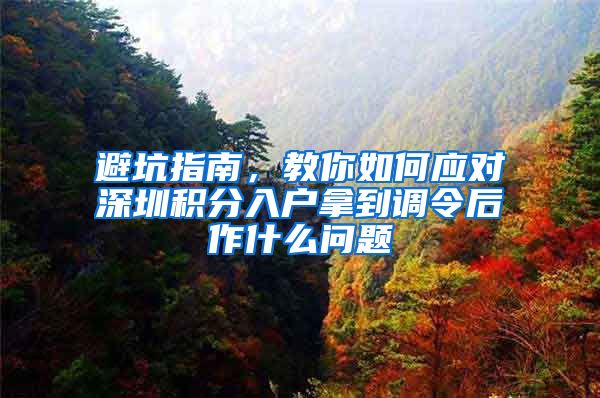 避坑指南，教你如何应对深圳积分入户拿到调令后作什么问题