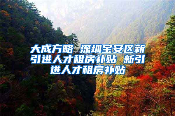 大成方略 深圳宝安区新引进人才租房补贴 新引进人才租房补贴