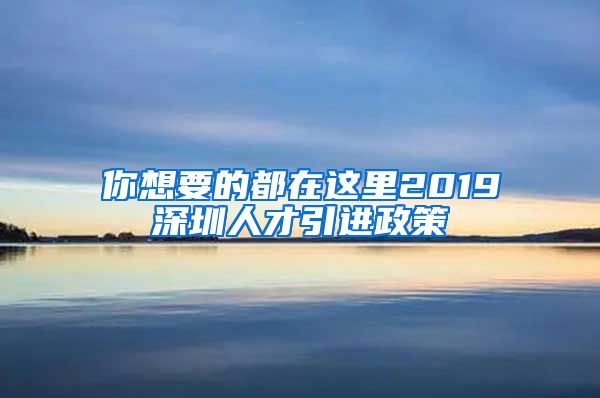 你想要的都在这里2019深圳人才引进政策
