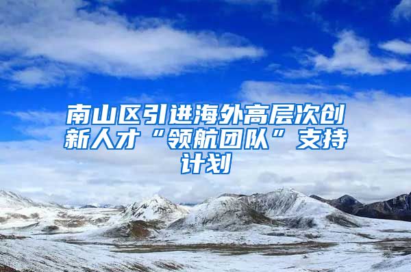 南山区引进海外高层次创新人才“领航团队”支持计划
