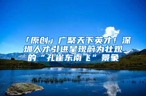 「原创」广聚天下英才！深圳人才引进呈现蔚为壮观的“孔雀东南飞”景象