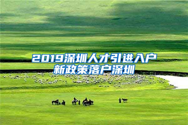2019深圳人才引进入户新政策落户深圳