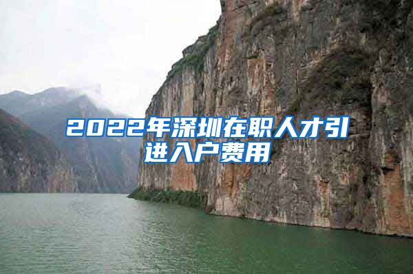 2022年深圳在职人才引进入户费用