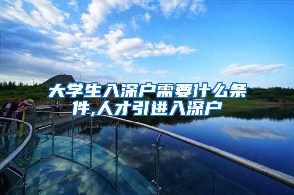 大学生入深户需要什么条件,人才引进入深户