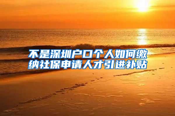 不是深圳户口个人如何缴纳社保申请人才引进补贴