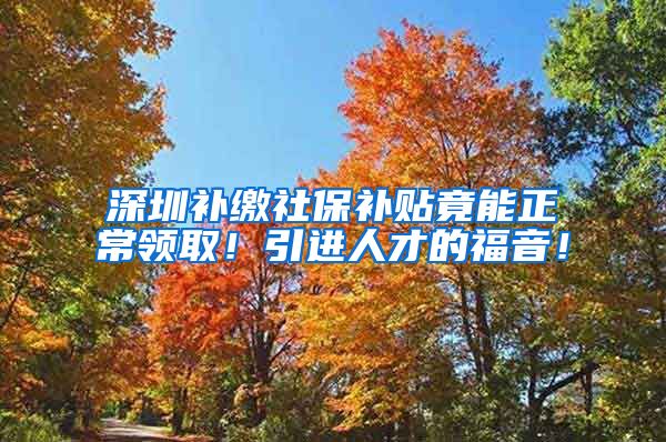 深圳补缴社保补贴竟能正常领取！引进人才的福音！