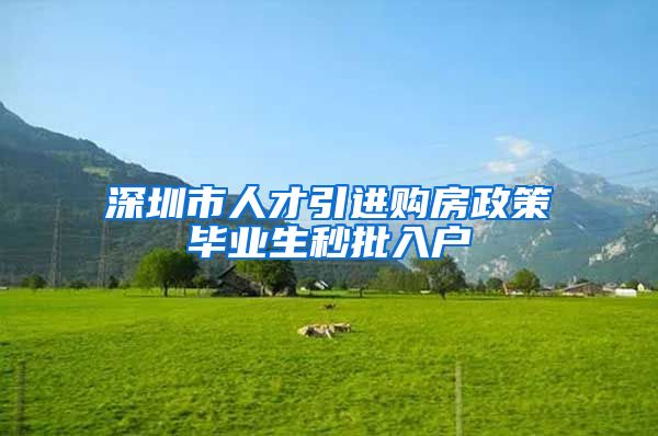 深圳市人才引进购房政策毕业生秒批入户