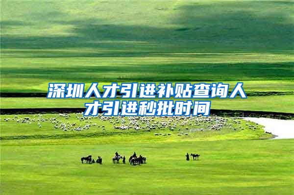 深圳人才引进补贴查询人才引进秒批时间