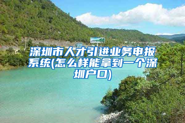 深圳市人才引进业务申报系统(怎么样能拿到一个深圳户口)