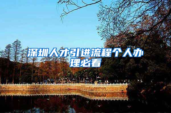 深圳人才引进流程个人办理必看