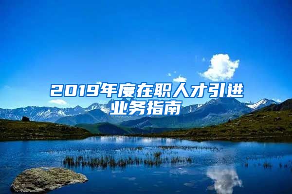 2019年度在职人才引进业务指南