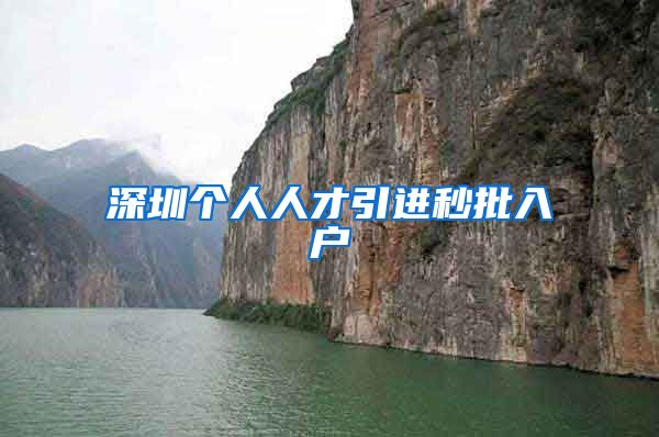 深圳个人人才引进秒批入户