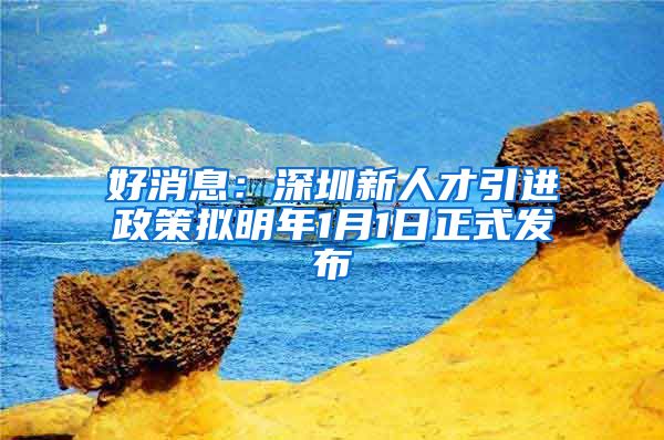 好消息：深圳新人才引进政策拟明年1月1日正式发布