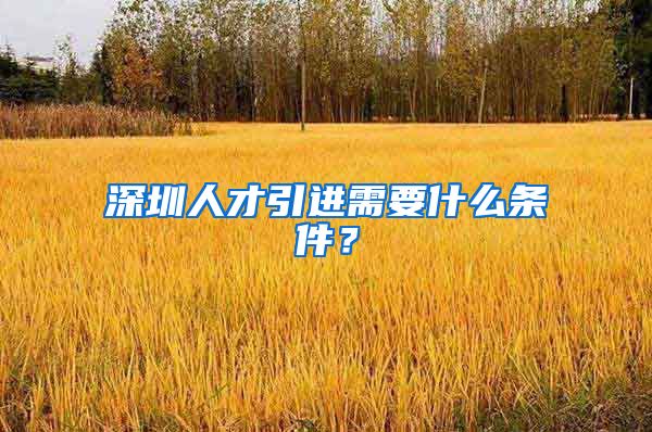 深圳人才引进需要什么条件？