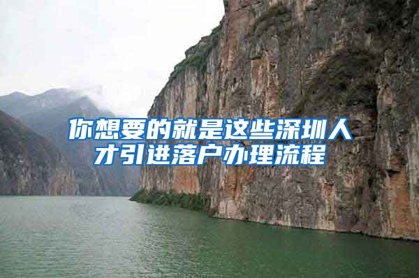 你想要的就是这些深圳人才引进落户办理流程