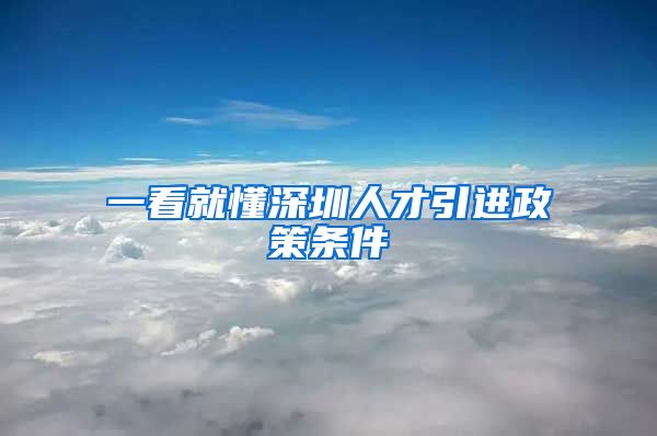 一看就懂深圳人才引进政策条件