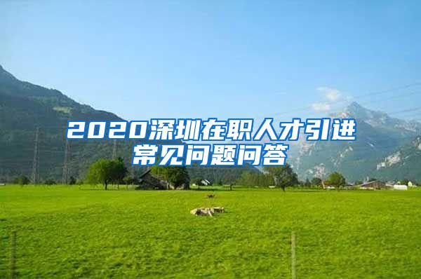 2020深圳在职人才引进常见问题问答