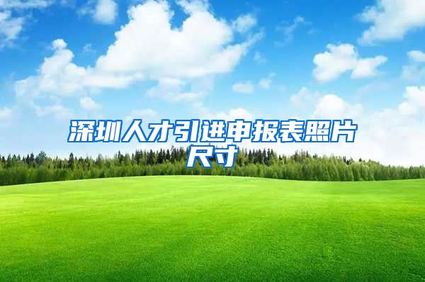 深圳人才引进申报表照片尺寸