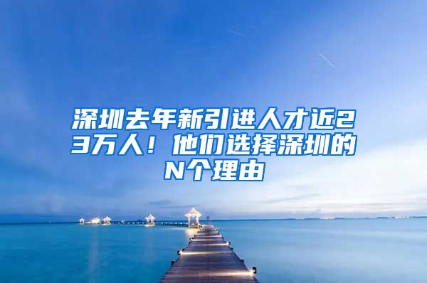 深圳去年新引进人才近23万人！他们选择深圳的N个理由