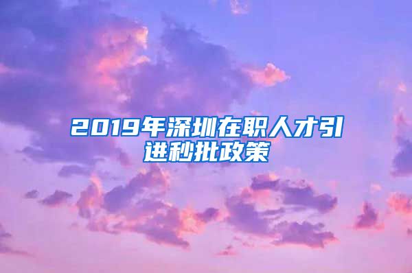 2019年深圳在职人才引进秒批政策