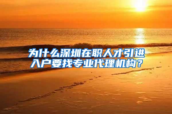 为什么深圳在职人才引进入户要找专业代理机构？