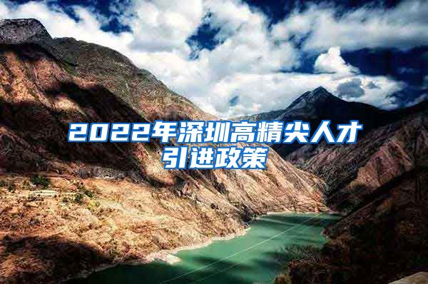 2022年深圳高精尖人才引进政策