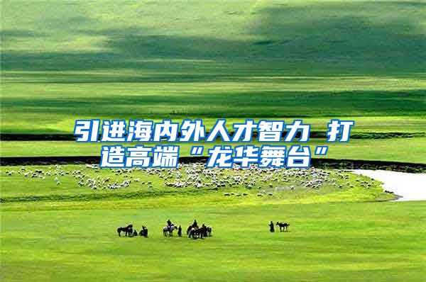 引进海内外人才智力 打造高端“龙华舞台”
