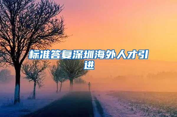 标准答复深圳海外人才引进