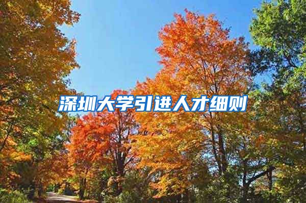 深圳大学引进人才细则