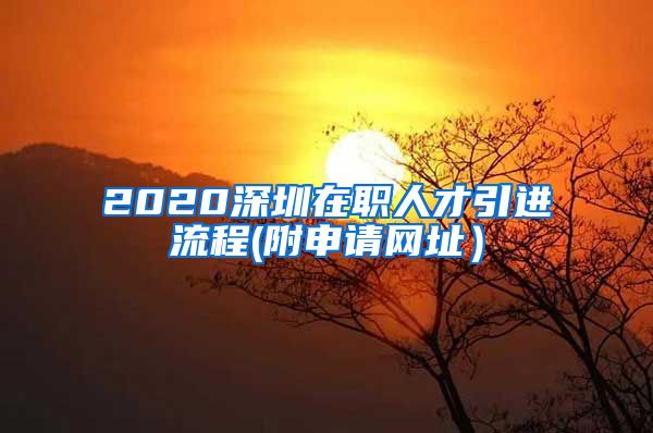 2020深圳在职人才引进流程(附申请网址）