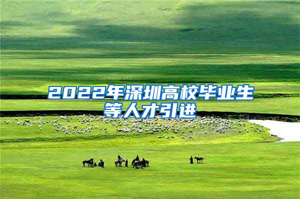 2022年深圳高校毕业生等人才引进