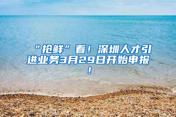 “抢鲜”看！深圳人才引进业务3月29日开始申报！