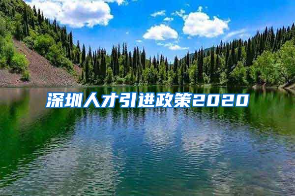 深圳人才引进政策2020