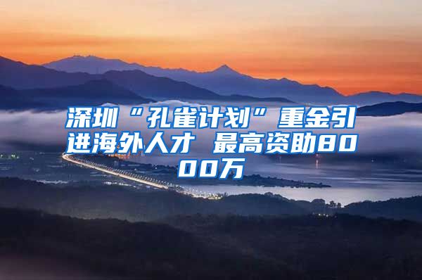 深圳“孔雀计划”重金引进海外人才 最高资助8000万