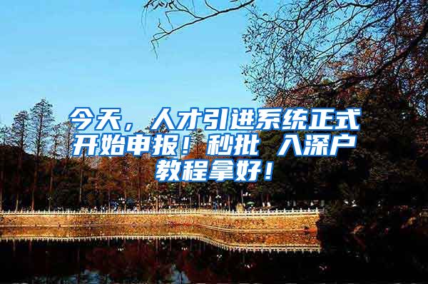 今天，人才引进系统正式开始申报！秒批 入深户教程拿好！