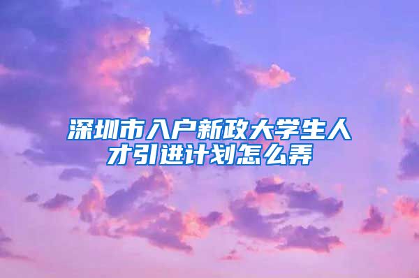 深圳市入户新政大学生人才引进计划怎么弄