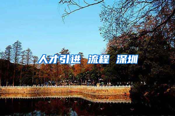 人才引进 流程 深圳