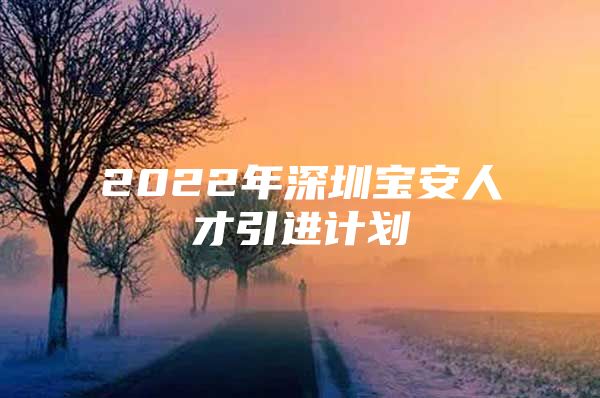 2022年深圳宝安人才引进计划