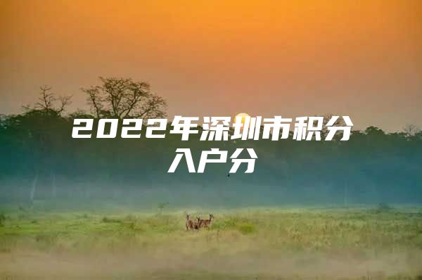 2022年深圳市积分入户分
