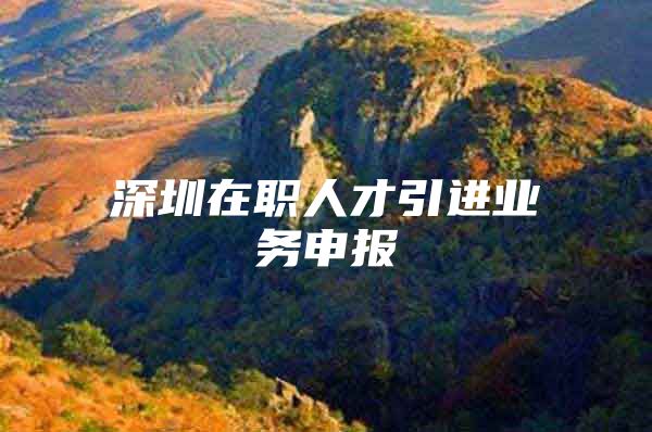 深圳在职人才引进业务申报